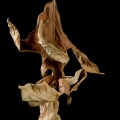 dance of the leaves 4