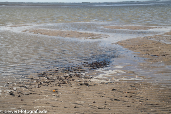 north sea coast