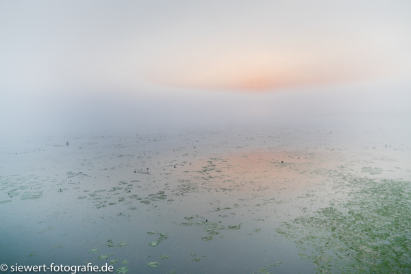 World Heritage Federsee, Beautiful Lake, Recreation, Sunrise