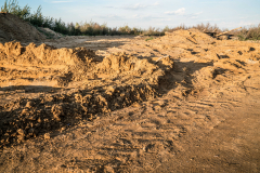 Hambacher  Wald  Oktober 2018