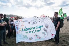 Hambacher Wald Okt. 2018