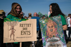 Hambacher  Wald Okt.  2018