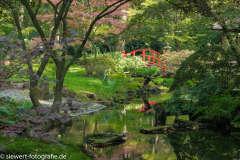 Japanischer Garten Den Haag