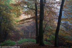 Maria Laach 02 Wassenach