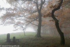 Maria Laach 03 Wassenach