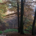 Maria Laach 02 Wassenach