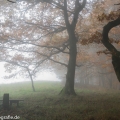 Maria Laach 03 Wassenach